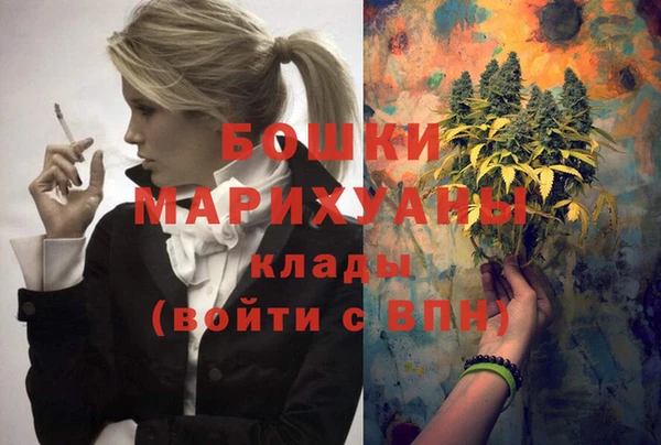 крисы Зеленокумск