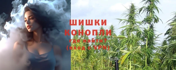 крисы Зеленокумск